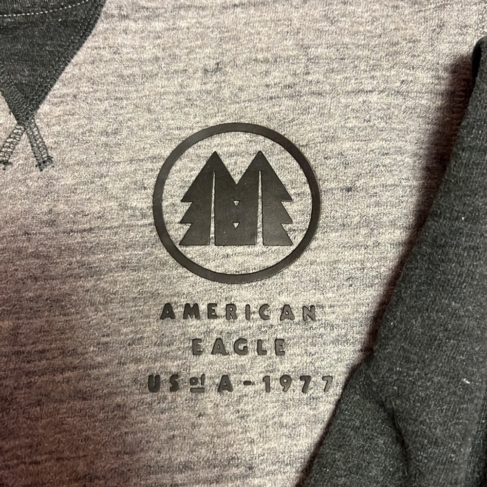 American Eagle Grey Hoodie - Picture 3 of 4